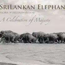 스리랑카의 코끼리 Sri Lankan Elephant Hardcover