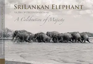 스리랑카의 코끼리 Sri Lankan Elephant Hardcover