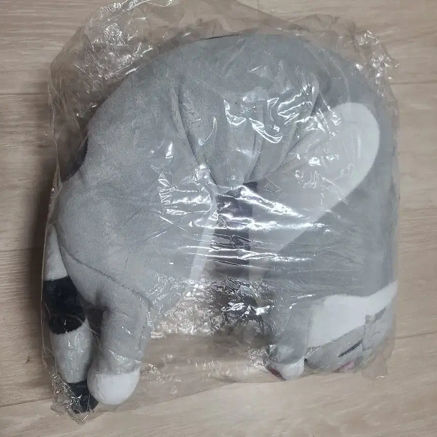 고양이 바디필로우 인형 50cm