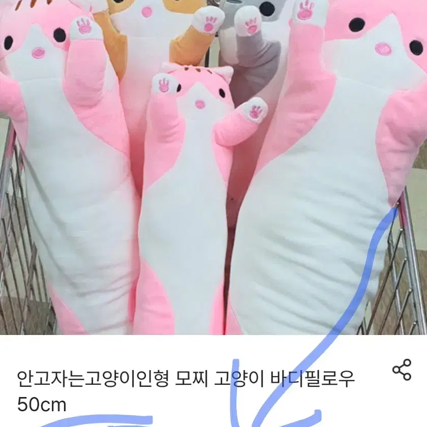 고양이 바디필로우 인형 50cm