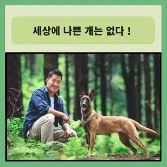 반려동물 강아지 행동 분석 해드려요