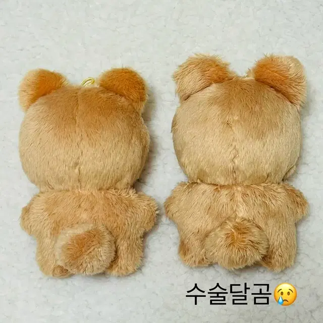 더보이즈 현재 인형 달곰(하자O) 양도