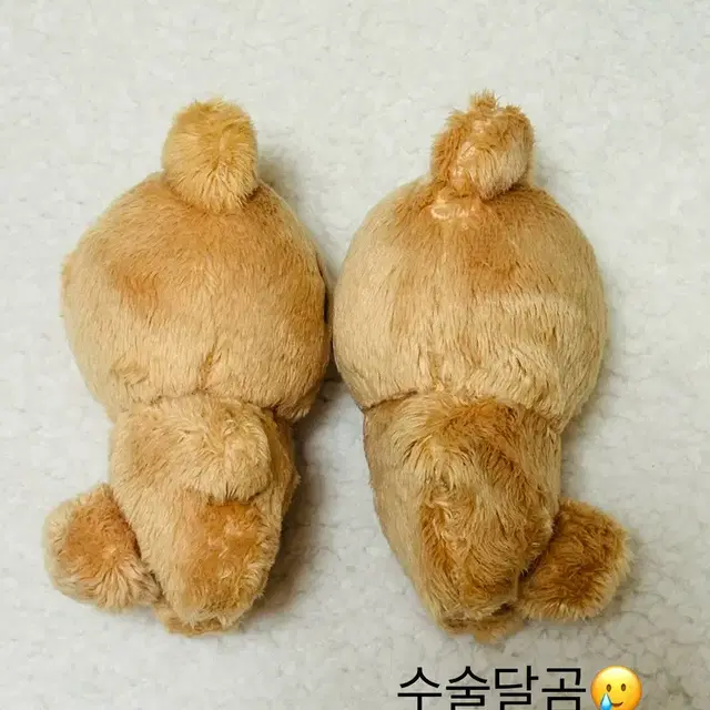 더보이즈 현재 인형 달곰(하자O) 양도