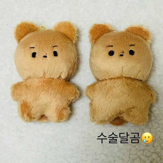 더보이즈 현재 인형 달곰(하자O) 양도