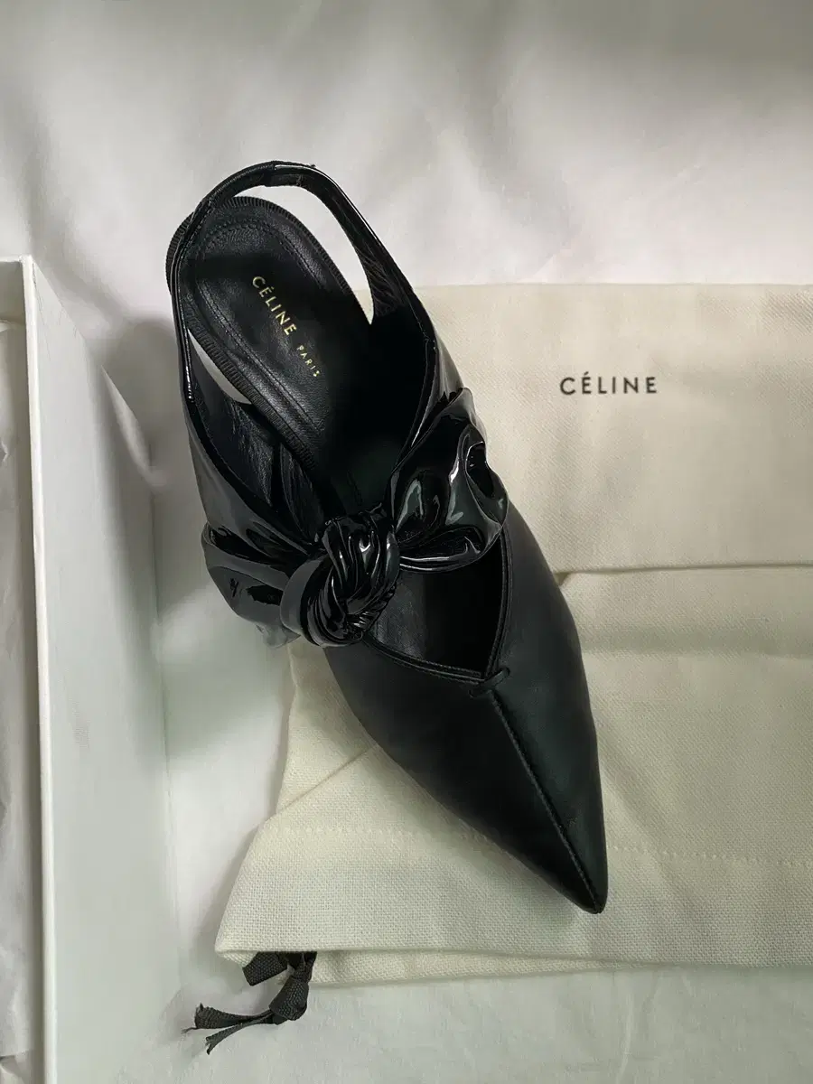 Old seline slingback shoes