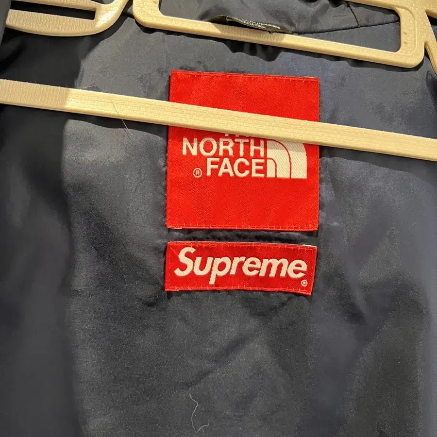 Supreme x northface