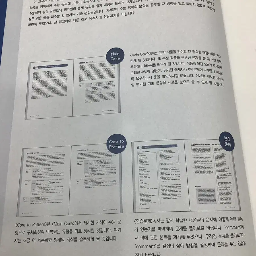 2025 시대인재 재종 국어 컨텐츠 커넥톰 Connectome