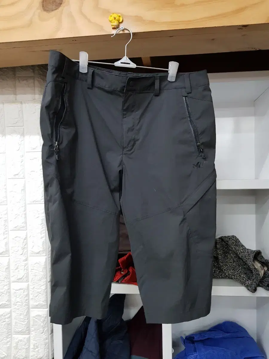 Miele Shorts 90