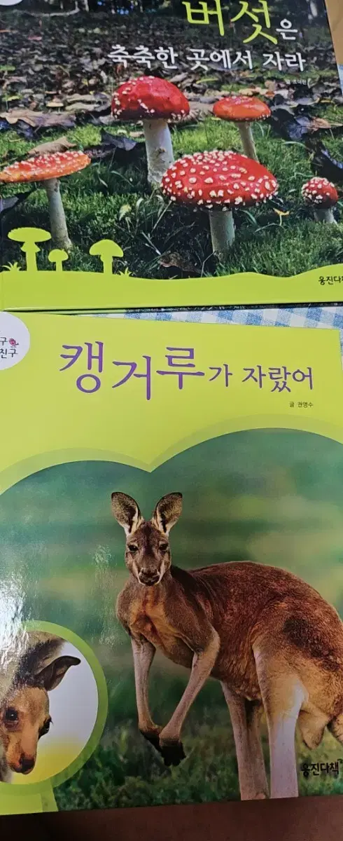 웅진 땅친구 물친구 책상태 최상급