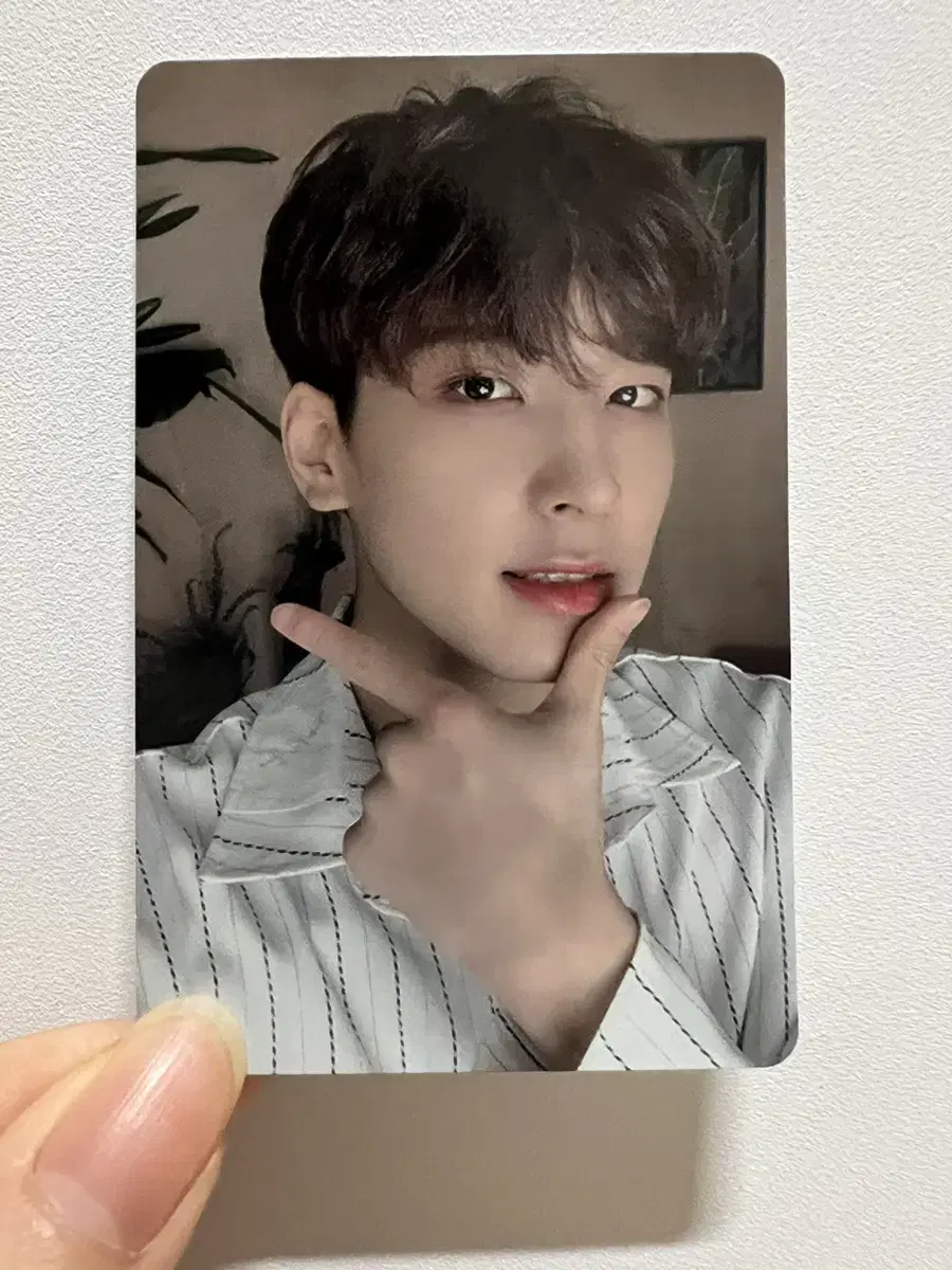 Seventeen Happy Ending wonwoo caratbahn photocard wts