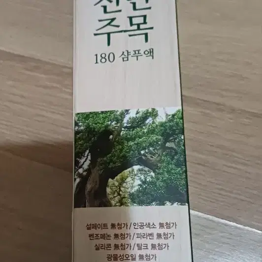 천년주목 샴푸