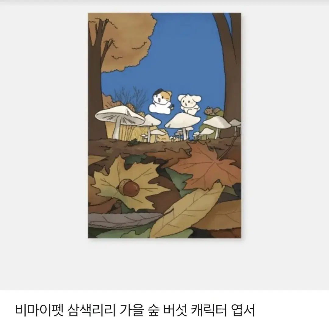 비마이펫 엽서, 고양이 포토 엽서 등