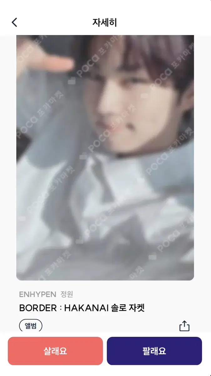 Enhypen jungwon photocard bulk wts sunshinejungwonTemdejungwonSaengkujungwon