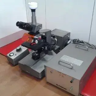 OLYMPUS BH FLUORESCENCE MICROSCOPE. 올림프스