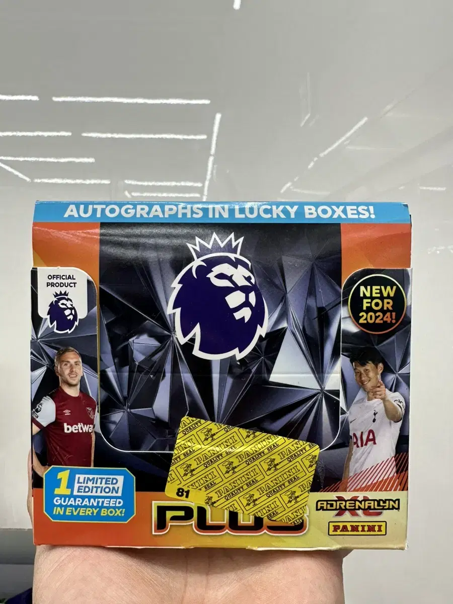 EPL Panini Plus Card