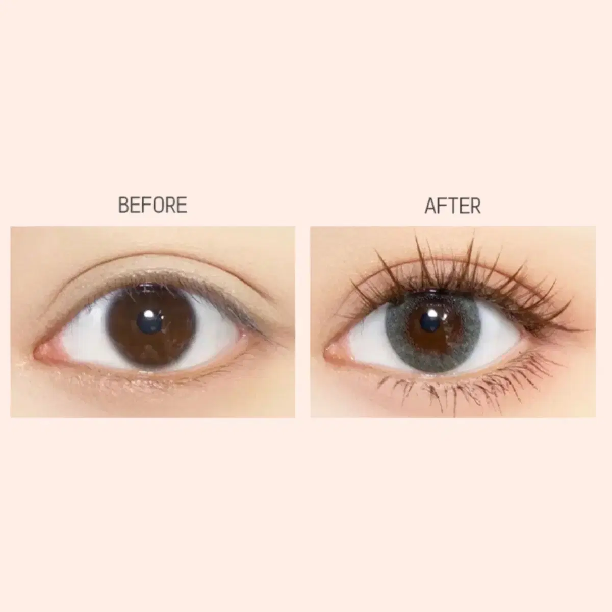 [NEW] False Eyelashes / Natural Brown Color 8MM