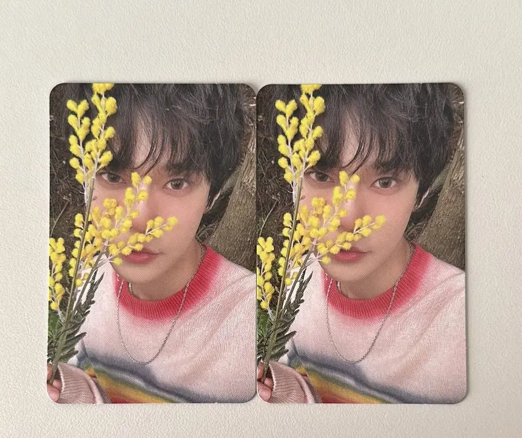 Doyoung's foam photocard wts