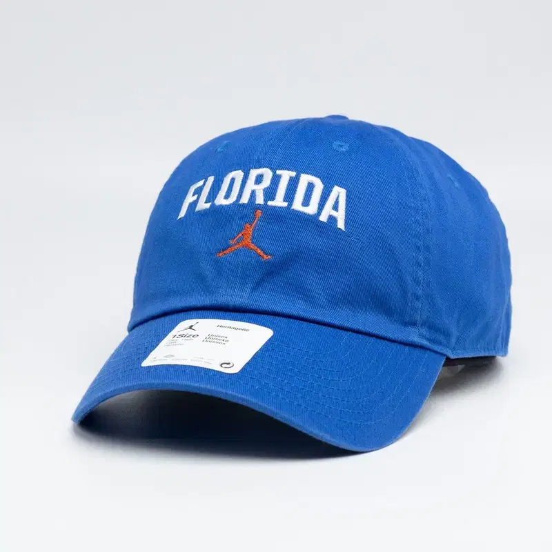 NIKE FLORIDA STATE JORDAN BLUE HAT 새상품