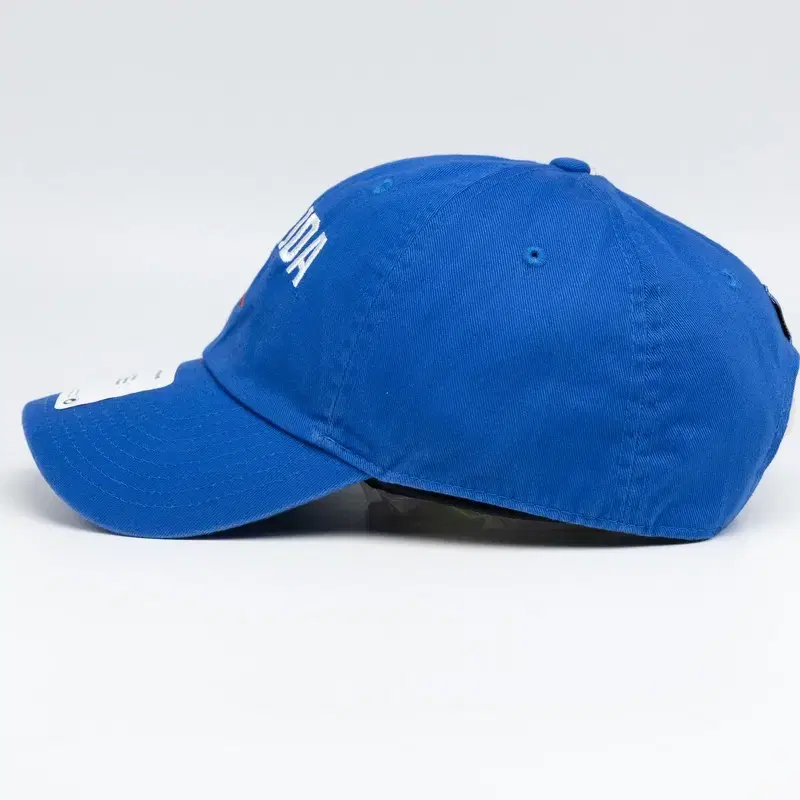 NIKE FLORIDA STATE JORDAN BLUE HAT 새상품