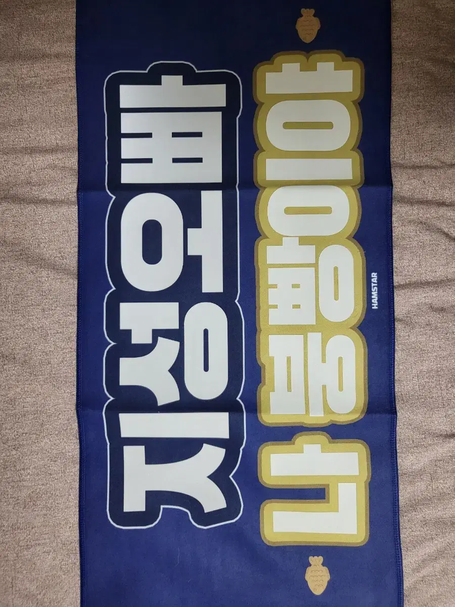 NCT nct jisung 햄스터님 주접 반사 slogan 양도