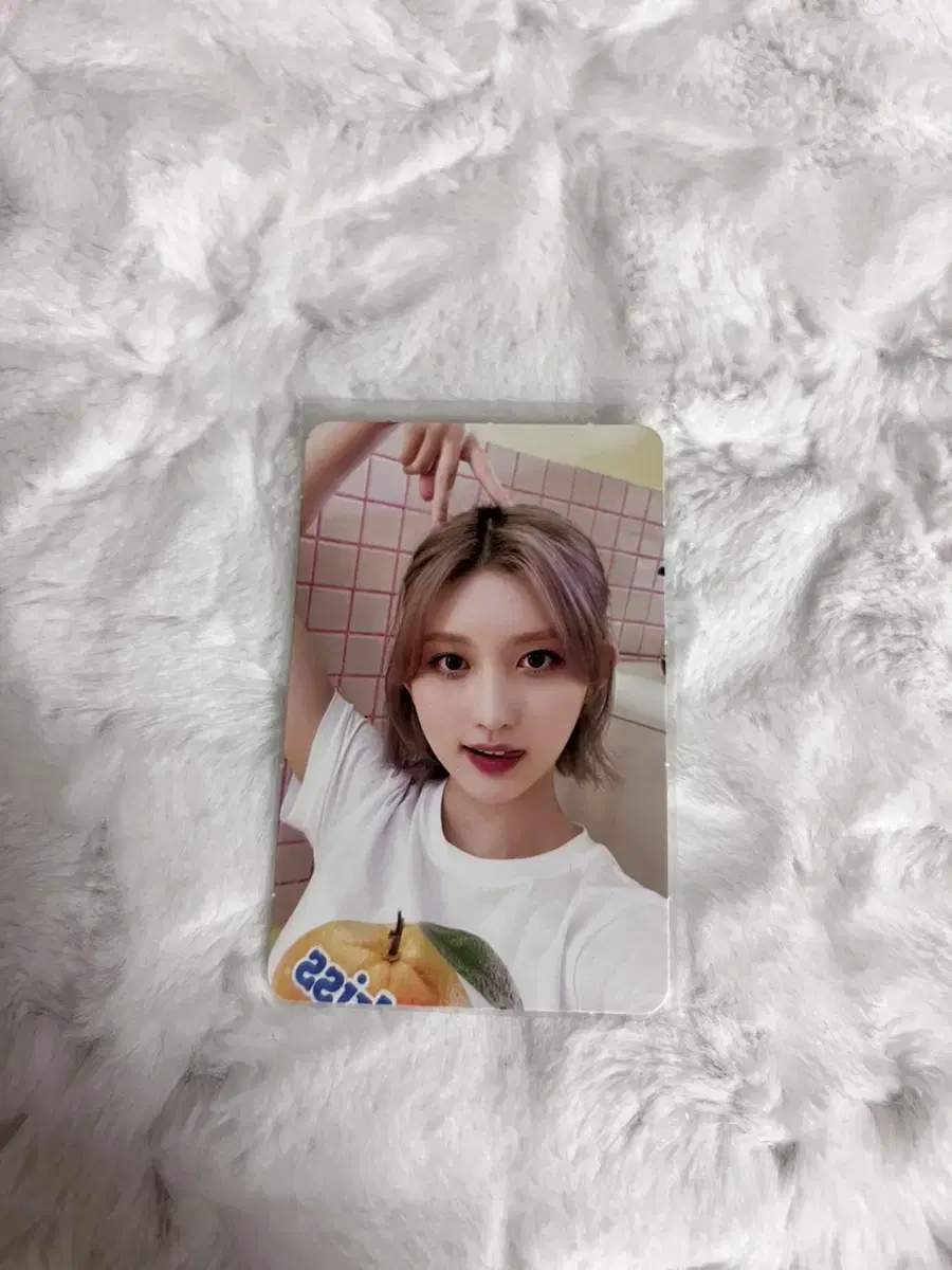 ive gaeul 2023 seasons greetings ssq pre-order benefit photocard sell @tapo