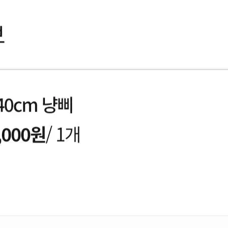 급처) 라이즈 원빈 인형 40cm 냥삐 원가양도