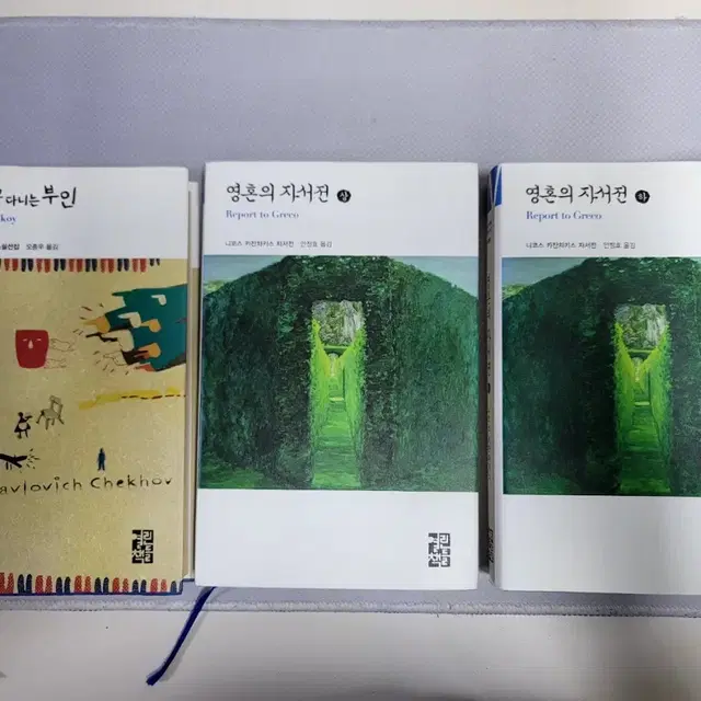 개를데리고 다니는 부인,  영혼의 자서전