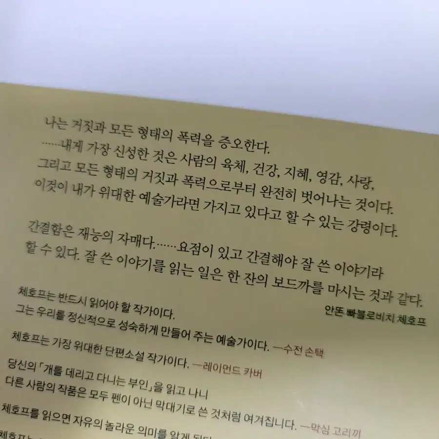 개를데리고 다니는 부인,  영혼의 자서전