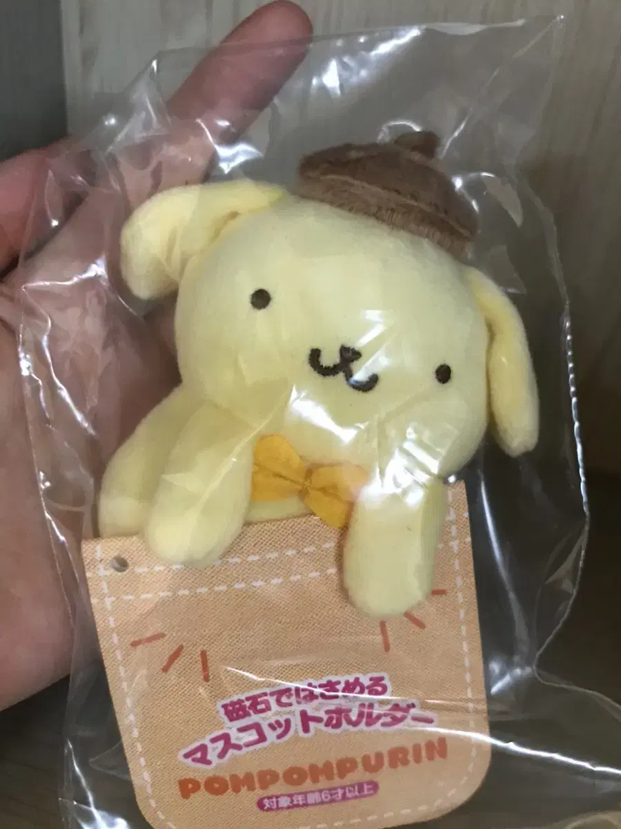 San Rio Pompompurin photocard holder (magnet)