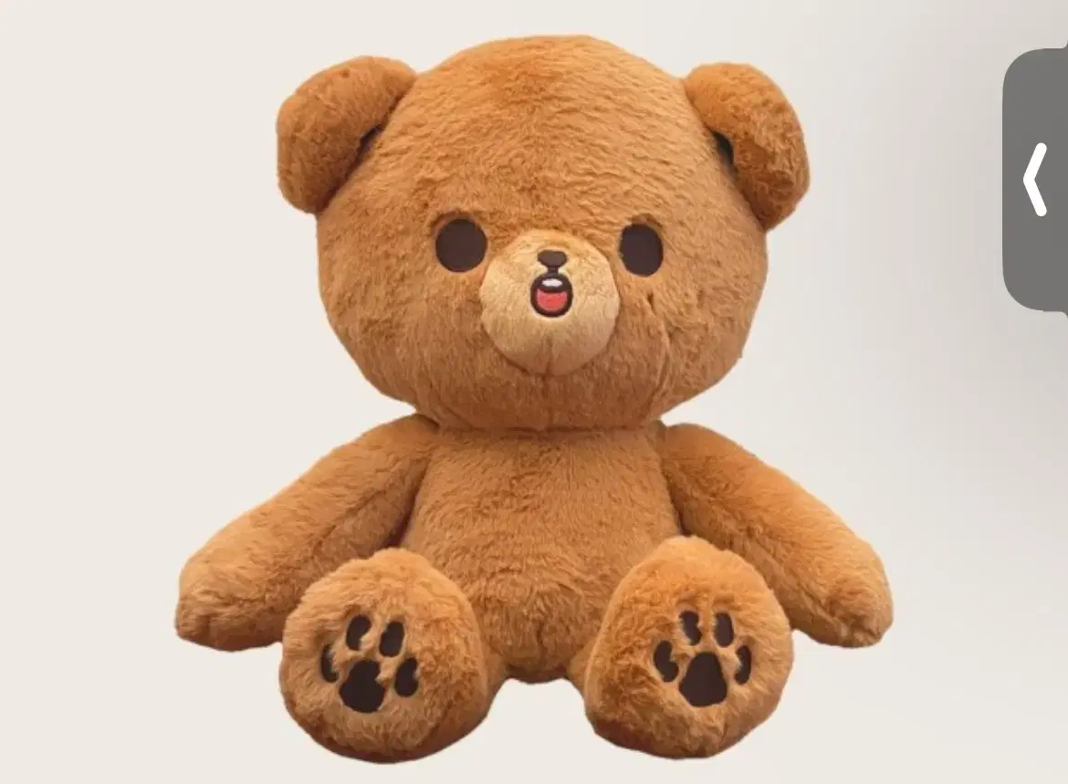 Haechan doll also sells this bear 40cm