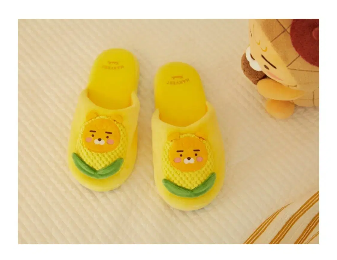 [New] Ryan Kakao Friends Slippers Indoor Shoes