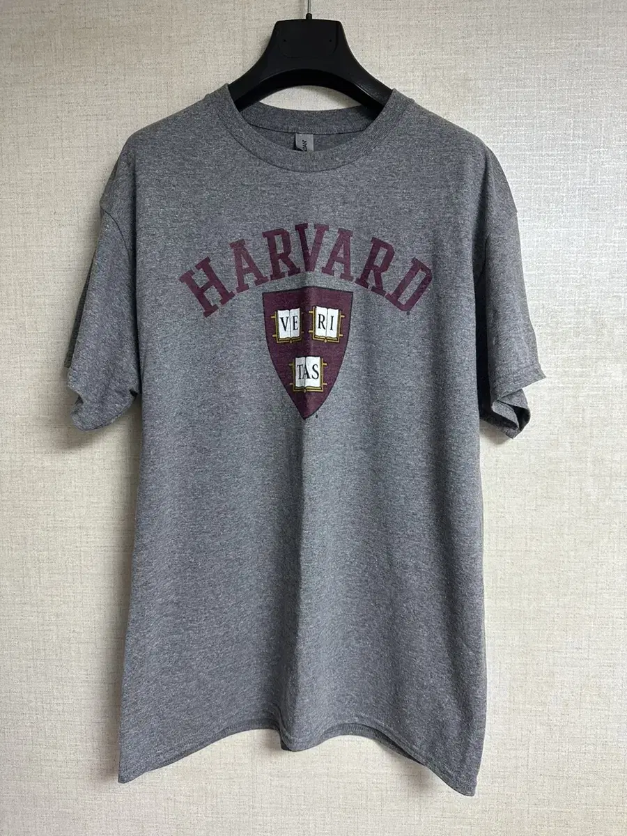 Vintage HARVARD T-shirt size L