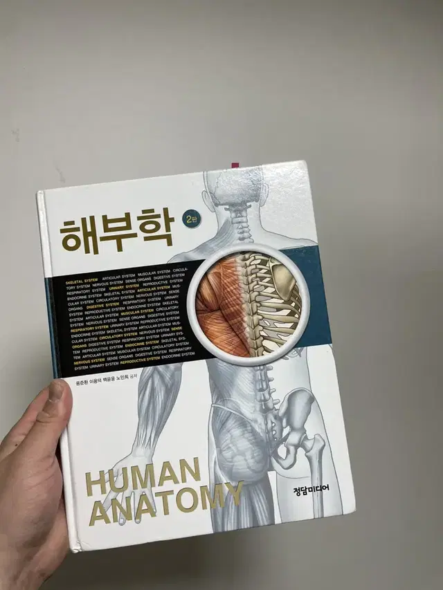 해부학 쿨거래합니다