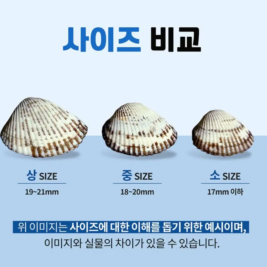 여수벌교 상size 새꼬막 2kg 17,900원