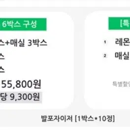 벨르제이 발포자이저 6통일괄