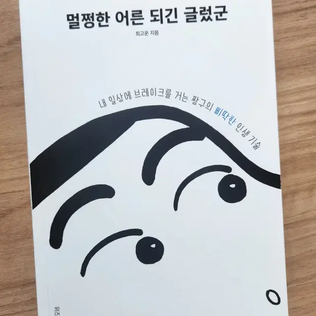 멀쩡한 어른 되긴 글렀군