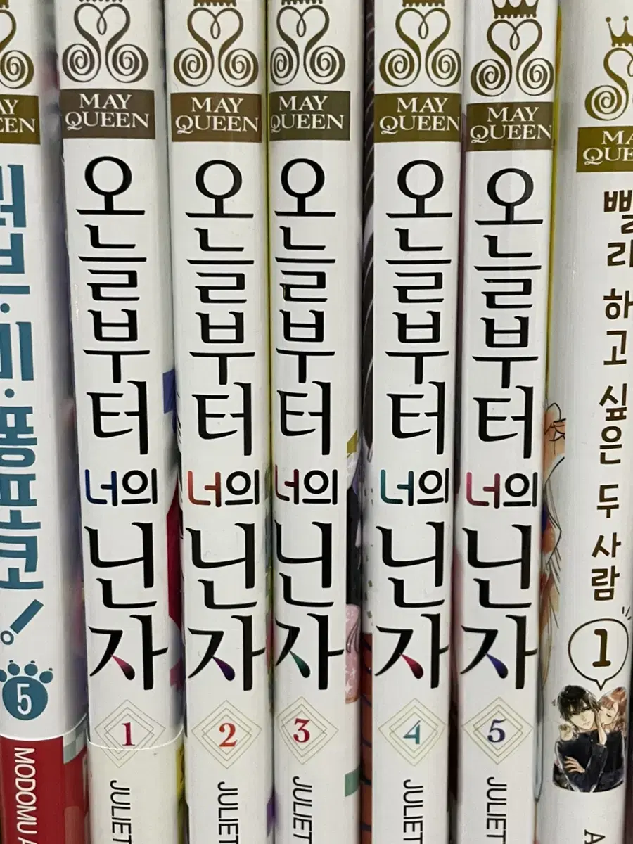 순정만화 오늘부터 너의 닌자 전권