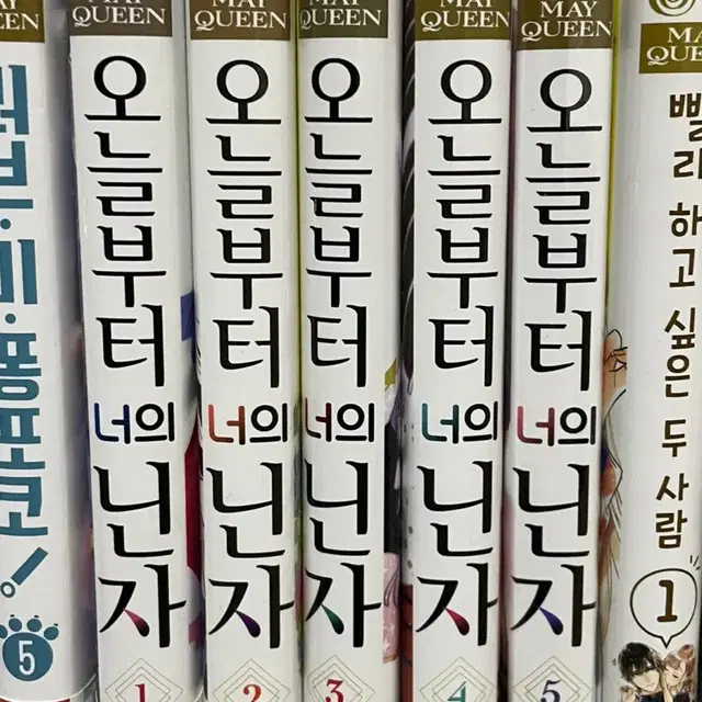 순정만화 오늘부터 너의 닌자 전권