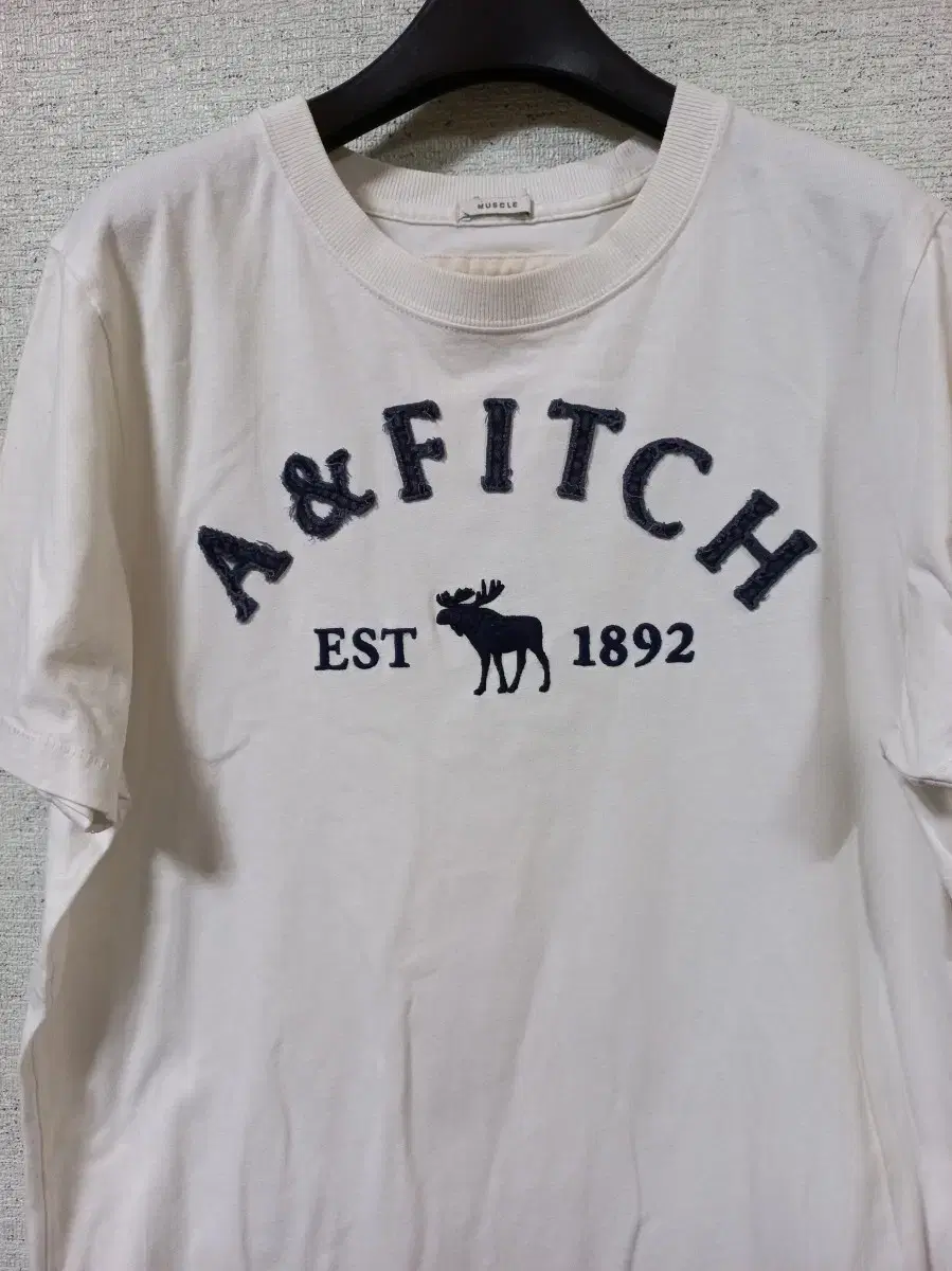 Abercrombie Men's Vahn Short Sleeve Tee (XL)