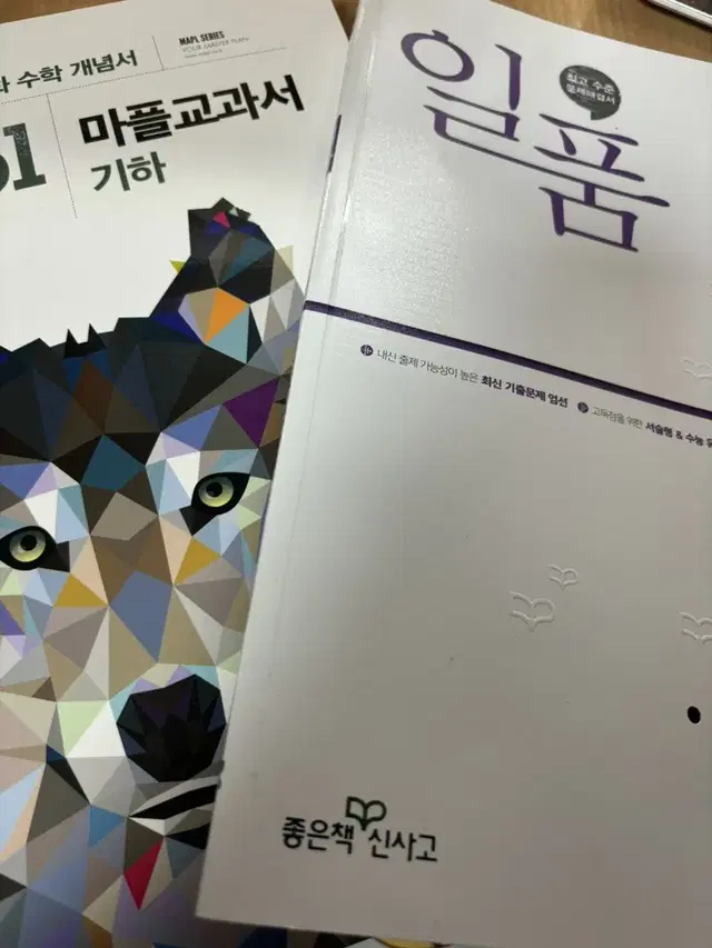 기하, 미적분책 급처