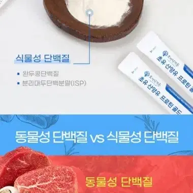 초유 산양유 프로틴 골드 100포