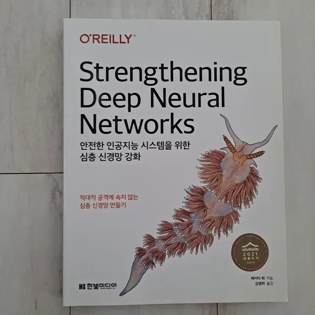 [도서] Strengthening Deep Neural Networks