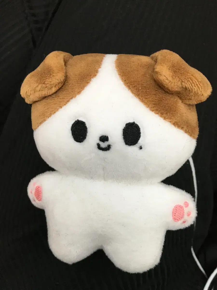 Nct jungwoo doll