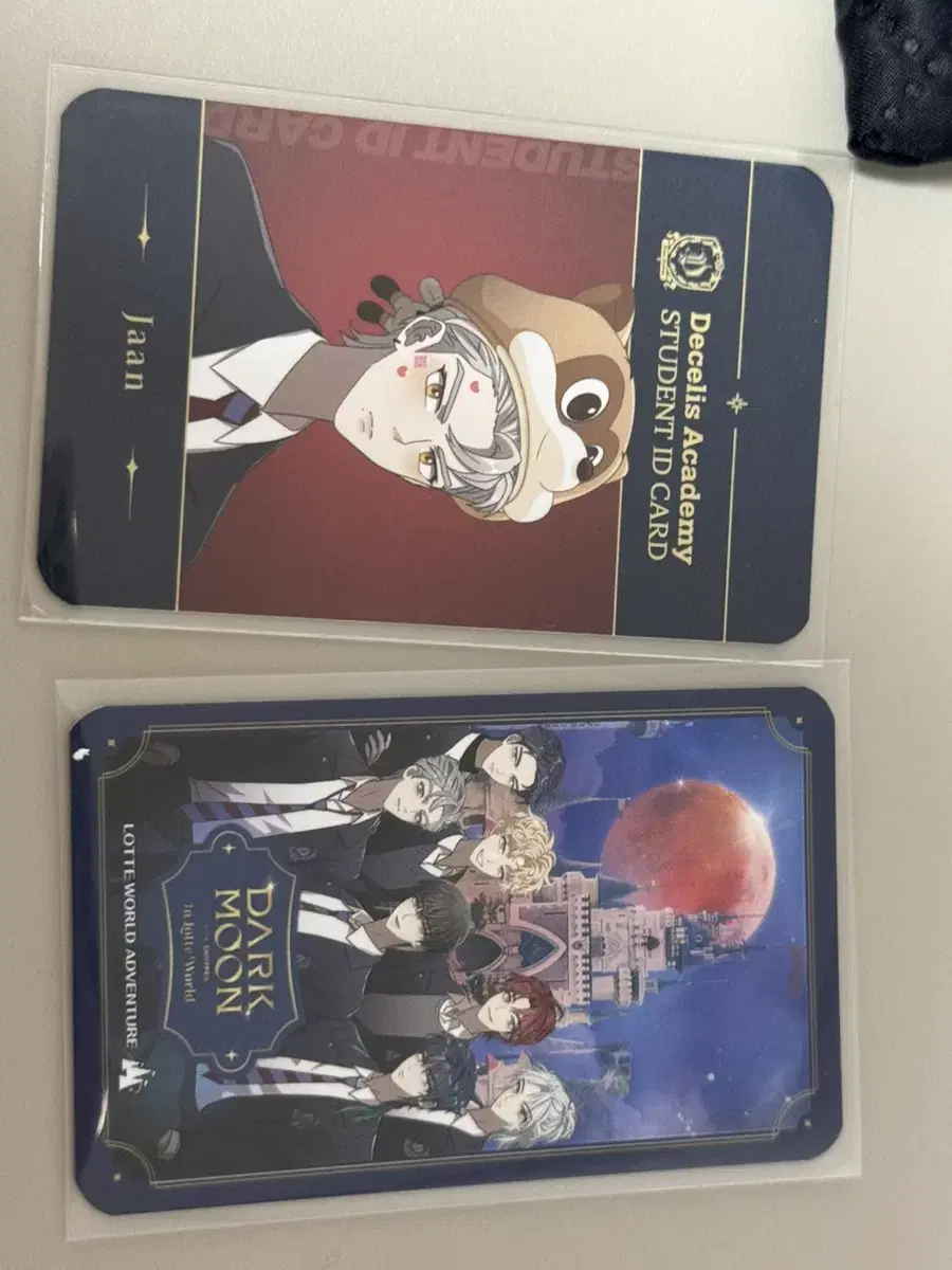 Enhypen Dark Moon Lotte World jay ian Student ID