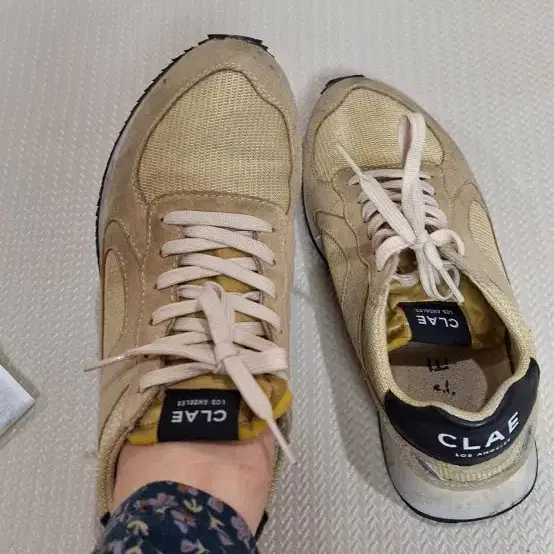 clae 여자운동화 240