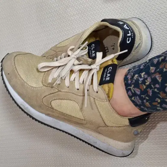 clae 여자운동화 240