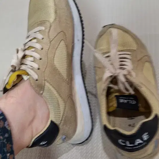 clae 여자운동화 240