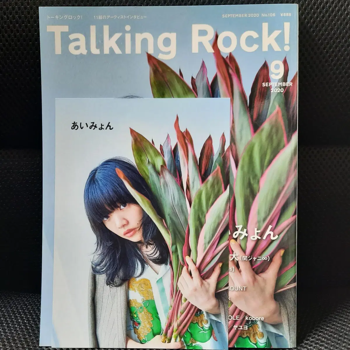 Talking Rock! September 2020 Issue Aimon