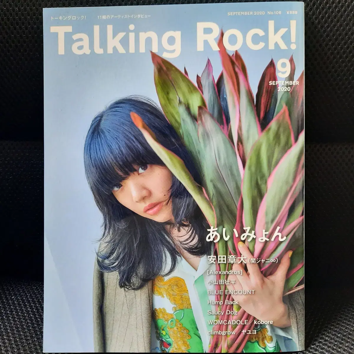 Talking Rock! 2020년 9월호 아이묭