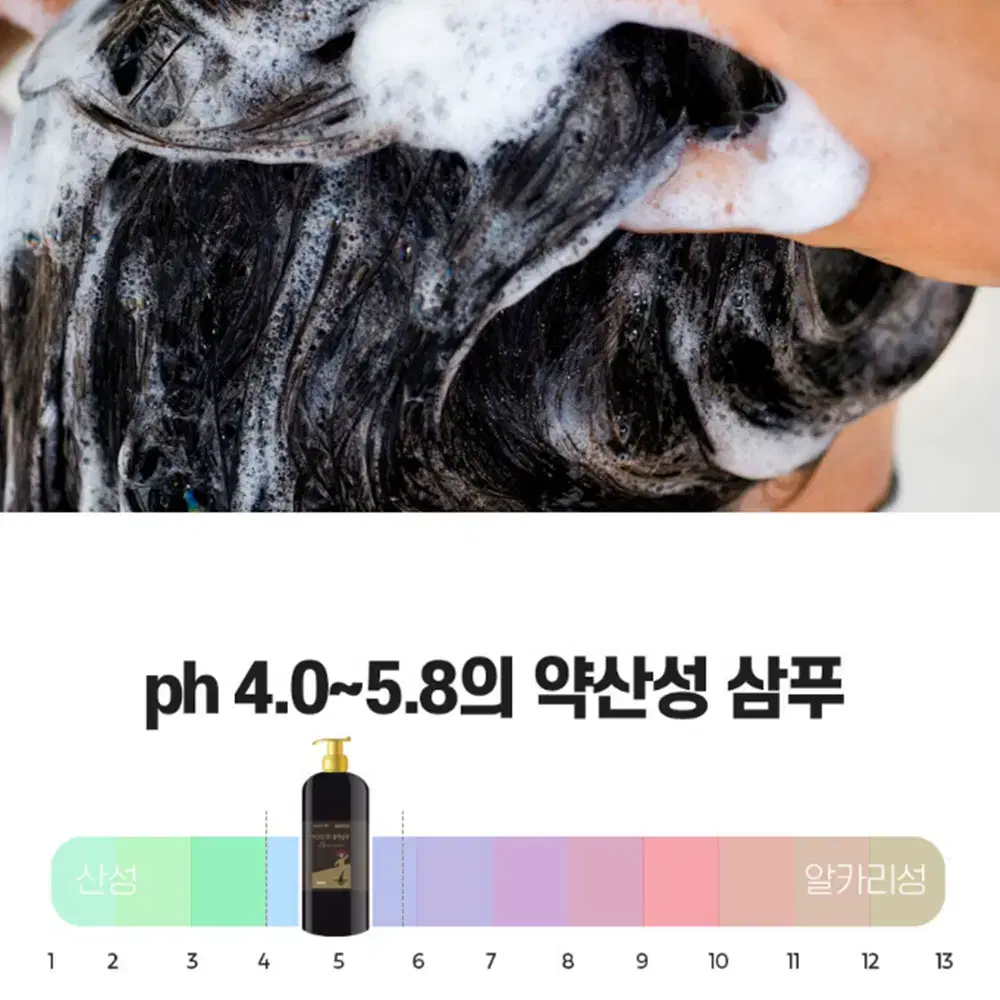 [300ml] 순한 맥주 효모 탈모 샴푸 / 약산성 임산부 손상모 케어